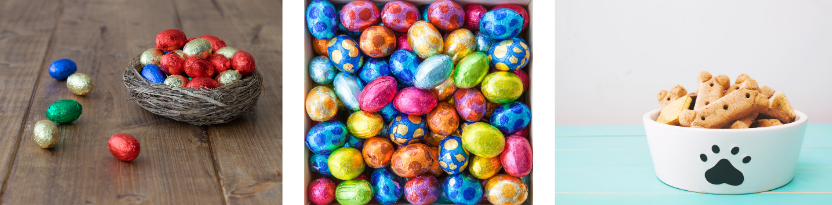 Foto di ovetti di Pasqua e ciotola per cani