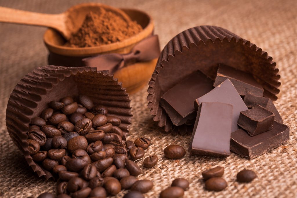 Foto di semi di cacao
