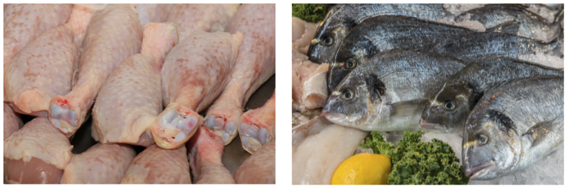 Foto di carne e pesce