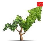 Illustrazione con albero freccia