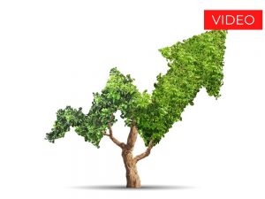 Illustrazione con albero freccia