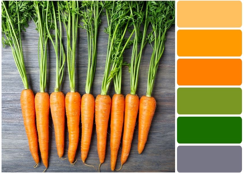 Foto con carote e i suoi colori