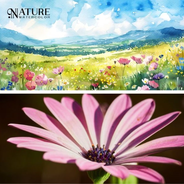 Foto doppia con paesaggio con fiori e fiore singolo