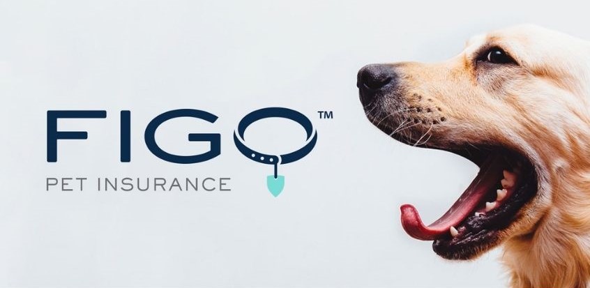 Foto da sito FIGO Insurance