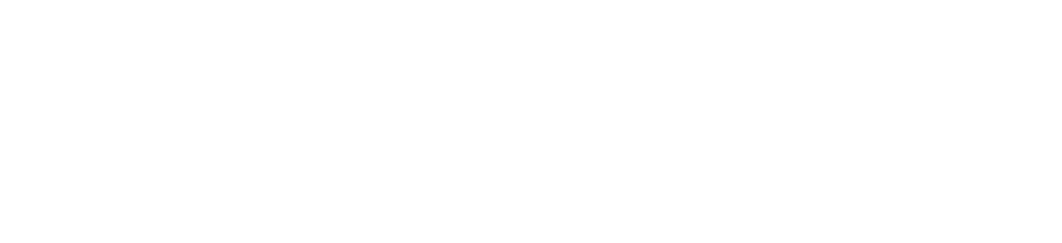 logo_LeBussole-bianco