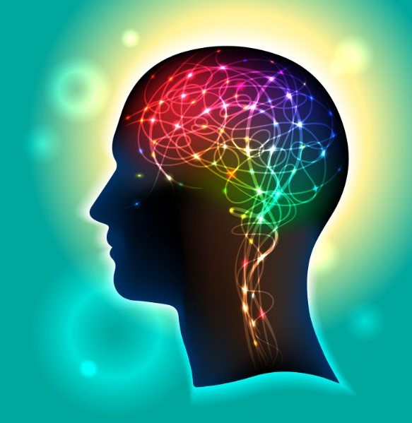 Illustrazione testa di persona con connessioni neurali