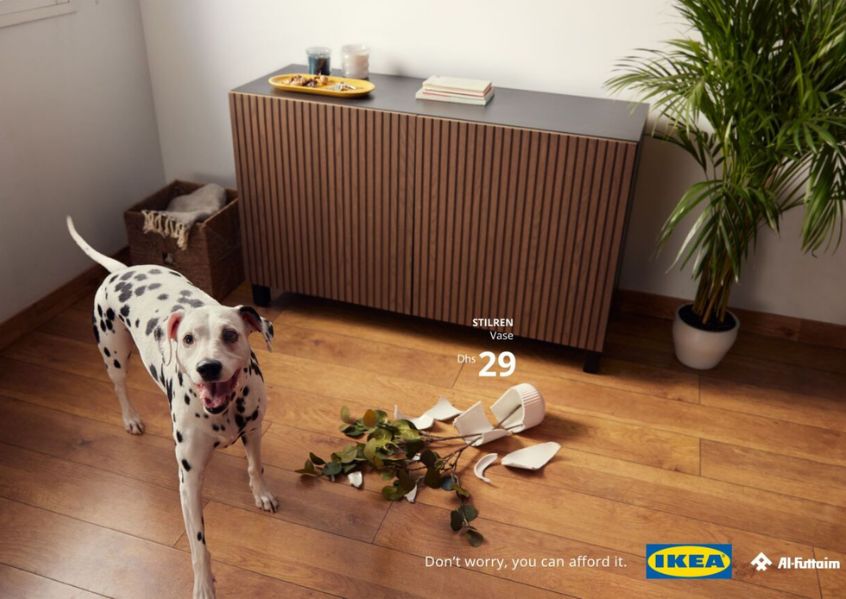 Foto pubblicità IKEA con cane che rompe un vaso di fiori